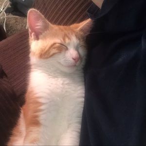 Meet your Posher, Darrell